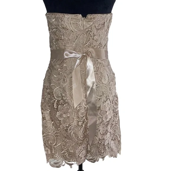 Adrianna Papell Boutique Women’s Sheath Dress Champagne Lace Over Lay Size 8 - Picture 6 of 10